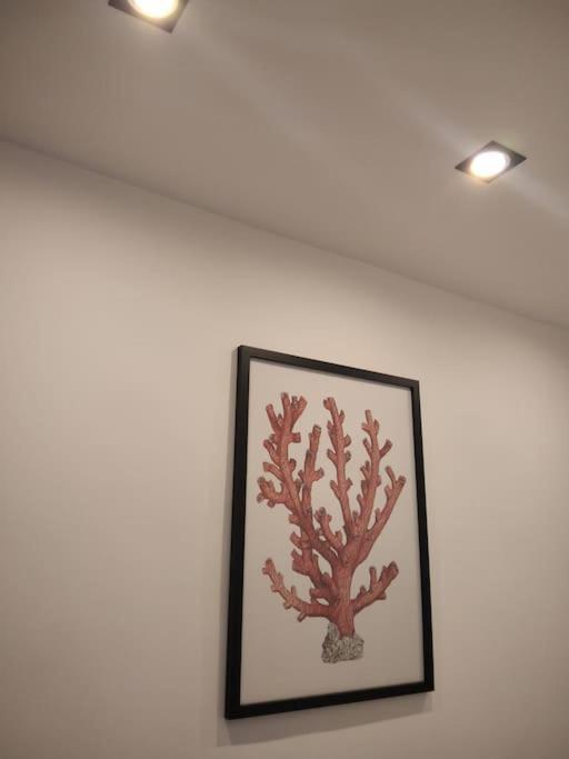 Dimora Cutelli Apartment Catania Ngoại thất bức ảnh